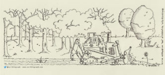 "Wood" for illustration Friday. Click to enlarge